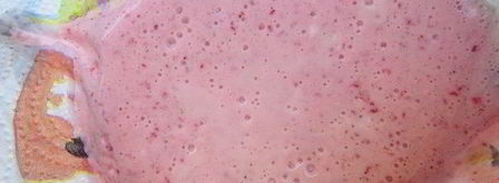 йогуртовая бананово-ягодная пастила. Шаг 3