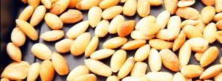 итальянские конфеты. Шаг 2