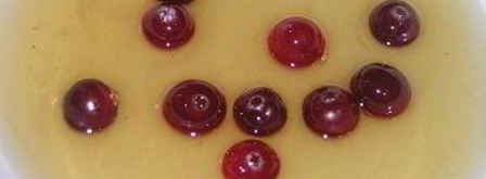 конфетки клюква в снегу. Шаг 2