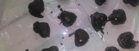 конфеты грильяж. Шаг 12