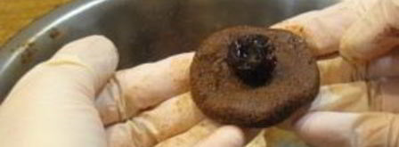 конфеты из сухарей и меда. Шаг 2