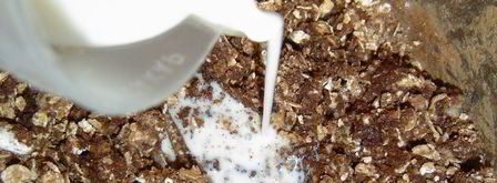 шоколадные конфеты каштаны за 20 минут. Шаг 4