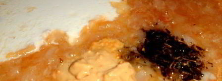 бедрышки в кремово-горчичном соусе. Шаг 5