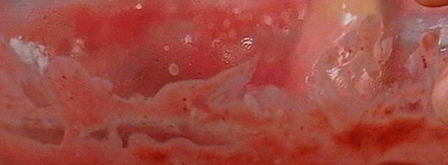 бисквитный рулет с вишневым кремом и малиной. Шаг 9