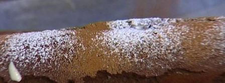 шоколадный рулет со сливочным кремом. Шаг 12