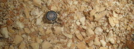 миндально-шоколадные пальчики fingers. Шаг 3