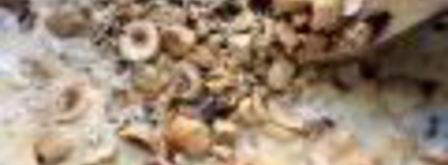 медовое мороженое с фундуком. Шаг 2