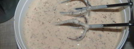 мороженое из топленого молока с шоколадной крошкой. Шаг 7