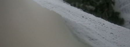 мороженое из зеленого чая с мятой и корицей. Шаг 3