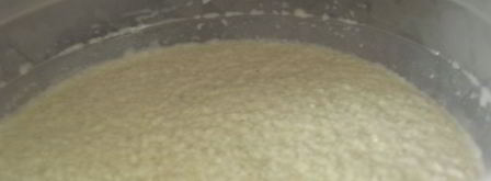 мороженое из зеленого чая с мятой и корицей. Шаг 9