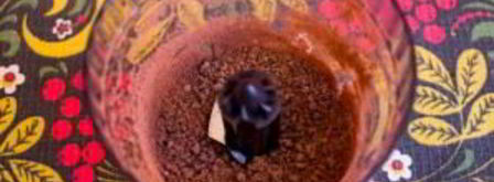 мороженое с шоколадной крошкой. Шаг 2