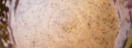 мороженое с шоколадной крошкой. Шаг 4