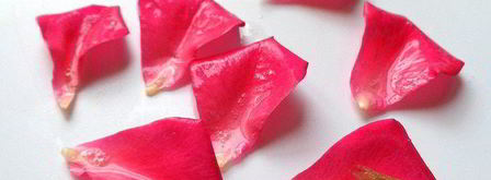 торт-мороженое малиново-розовая симфония. Шаг 2