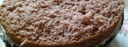 торт-мороженое малиново-розовая симфония. Шаг 20