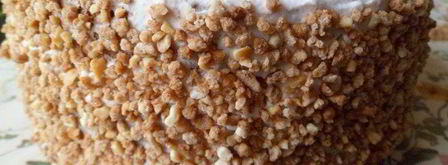 торт-мороженое малиново-розовая симфония. Шаг 23