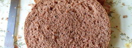 торт-мороженое малиново-розовая симфония. Шаг 10