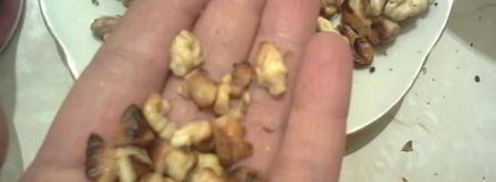 мусс из сухофруктов и орехами. Шаг 11