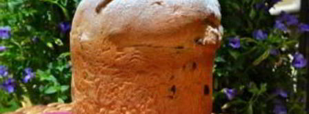 итальянский кулич. Шаг 13