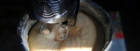 кулич классический. Шаг 5