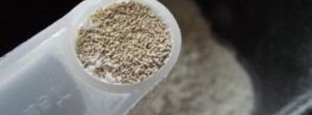 тесто для кулича в хлебопечке. Шаг 8