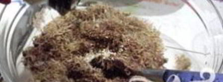 шоколадные гнезда на пасху. Шаг 5