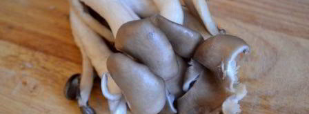 суфле из поленты с вешенками. Шаг 3