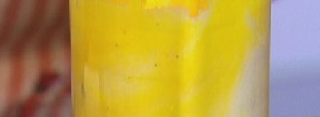 суфле из сыра пеше миньон с мускатным орехом. Шаг 7