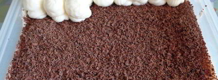 тирамису манго-шоколад. Шаг 15