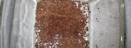 тирамису вишня в шоколаде. Шаг 5