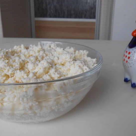 Рецепт творога из пастеризованного молока