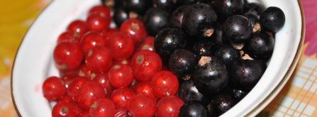 ягодный десерт с йогуртом. Шаг 5