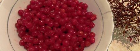 живое желе из калины. Шаг 3