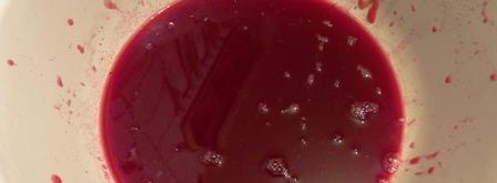 живое желе из калины. Шаг 4