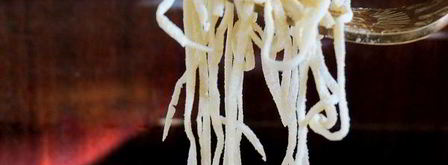 домашняя лапша двух видов. Шаг 14