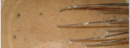 шведские фрикадельки кеттбуллар. Шаг 5