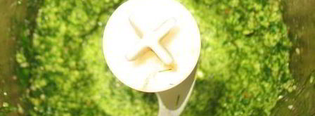 картофель с зеленью, сыром и орешками. Шаг 2