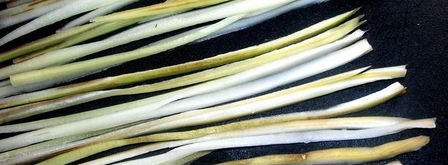 картофельная шапка на курином фарше. Шаг 5