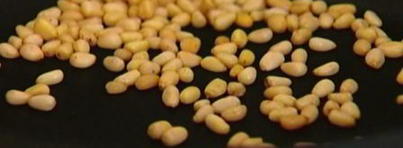 рис с мятой и кедровыми орешками в виноградных листьях. Шаг 4