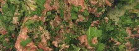 азербайджанская долма в виноградных листьях. Шаг 2