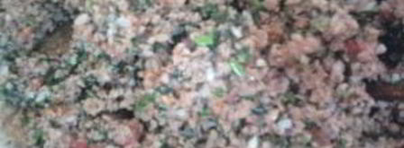 долма из баклажанов по-азербайджански. Шаг 2