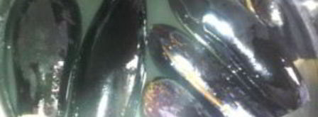 долма из баклажанов по-азербайджански. Шаг 3