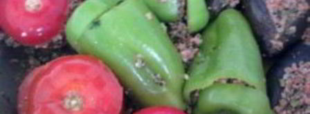 долма из баклажанов по-азербайджански. Шаг 5