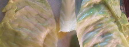 домашние голубцы. Шаг 9