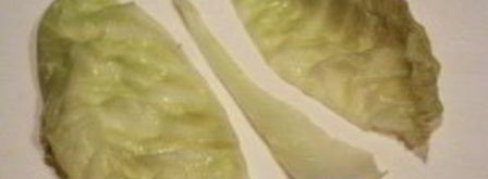 голубцы идеальные. Шаг 3