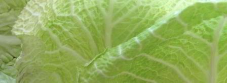 голубцы из прованса. Шаг 3