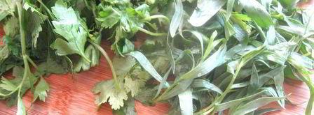 голубцы из прованса. Шаг 6