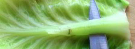 голубцы с мясом. Шаг 4