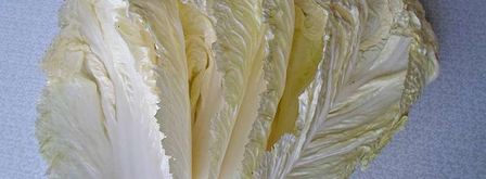 куриные голубцы. Шаг 6