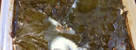 ленивая долма. Шаг 8