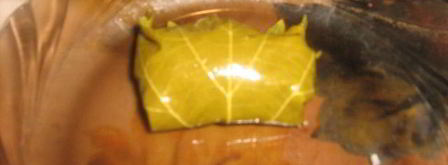 турецкая долма с хайдари. Шаг 5